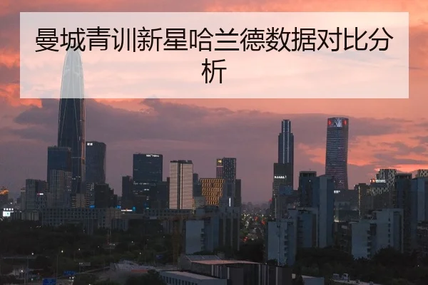 曼城青训新星哈兰德数据对比分析